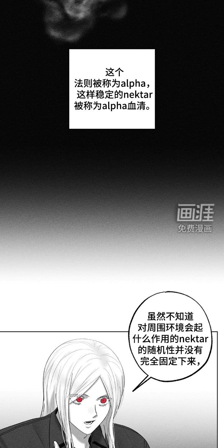 第110章：【第二季】好奇的问题