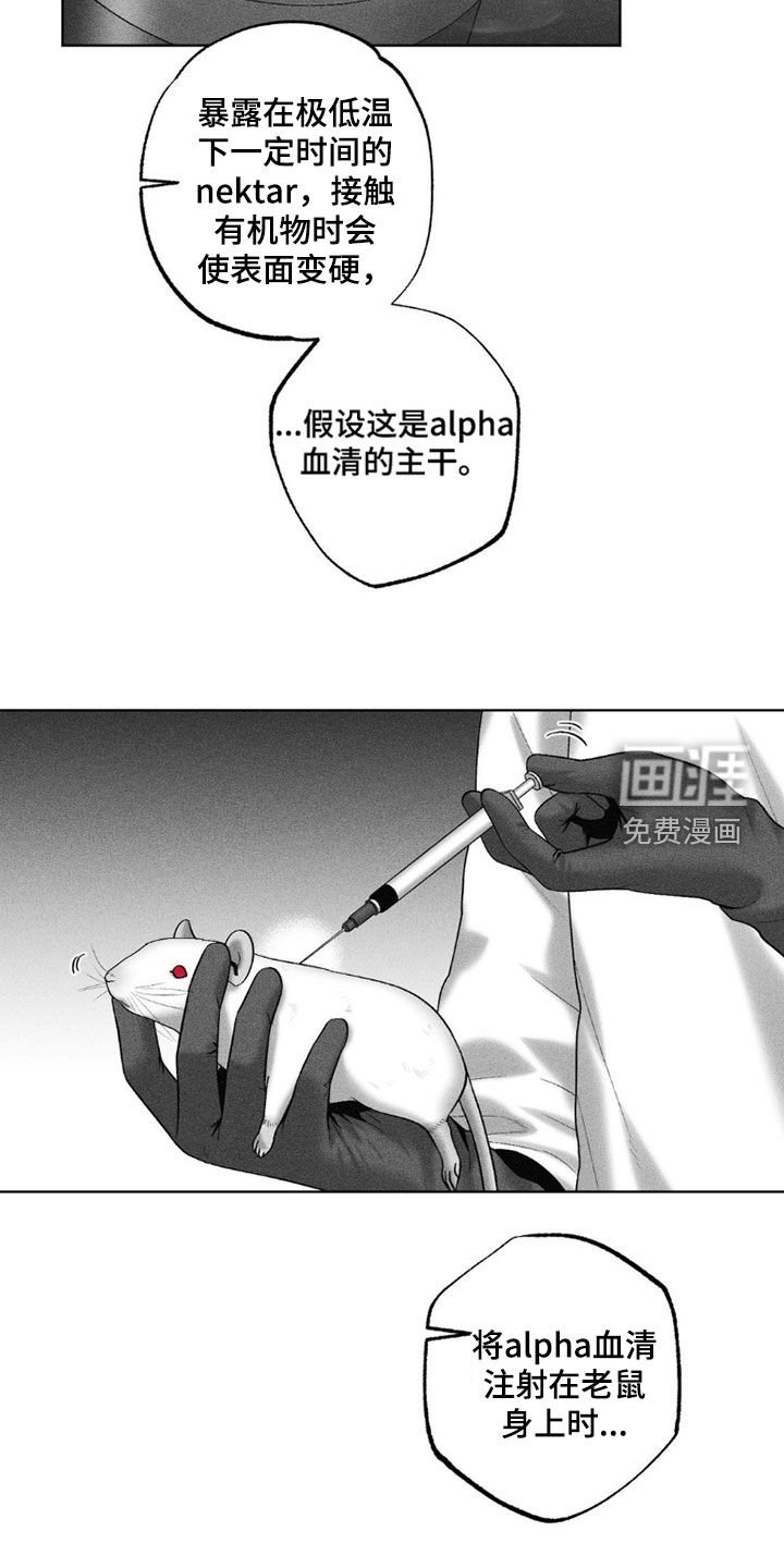 第110章：【第二季】好奇的问题