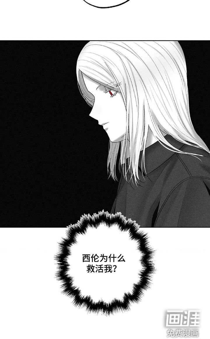 第110章：【第二季】好奇的问题