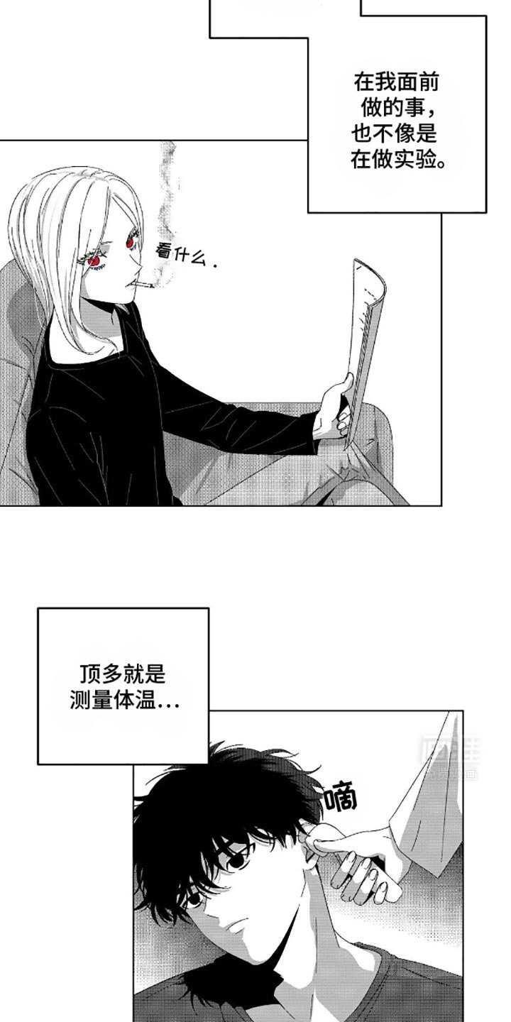 第13章：问题所在
