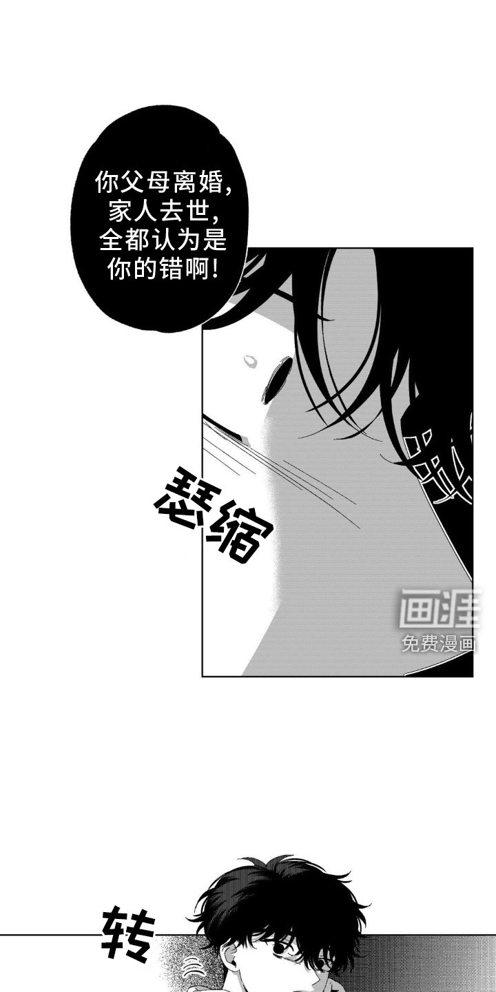 第15章：机会