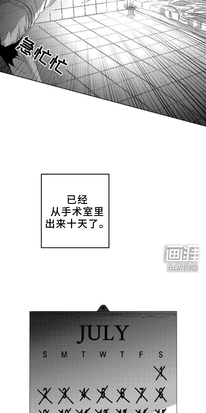 第15章：机会
