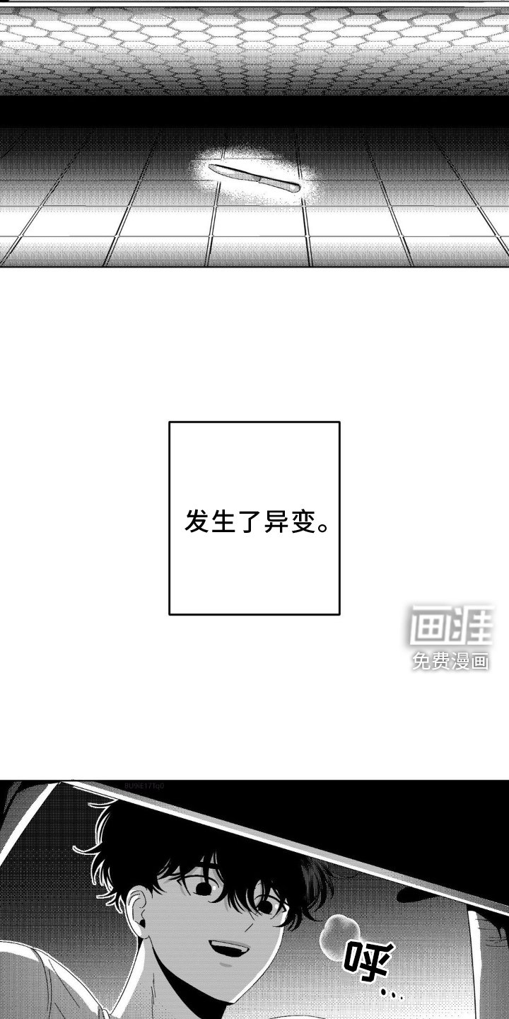 第15章：机会
