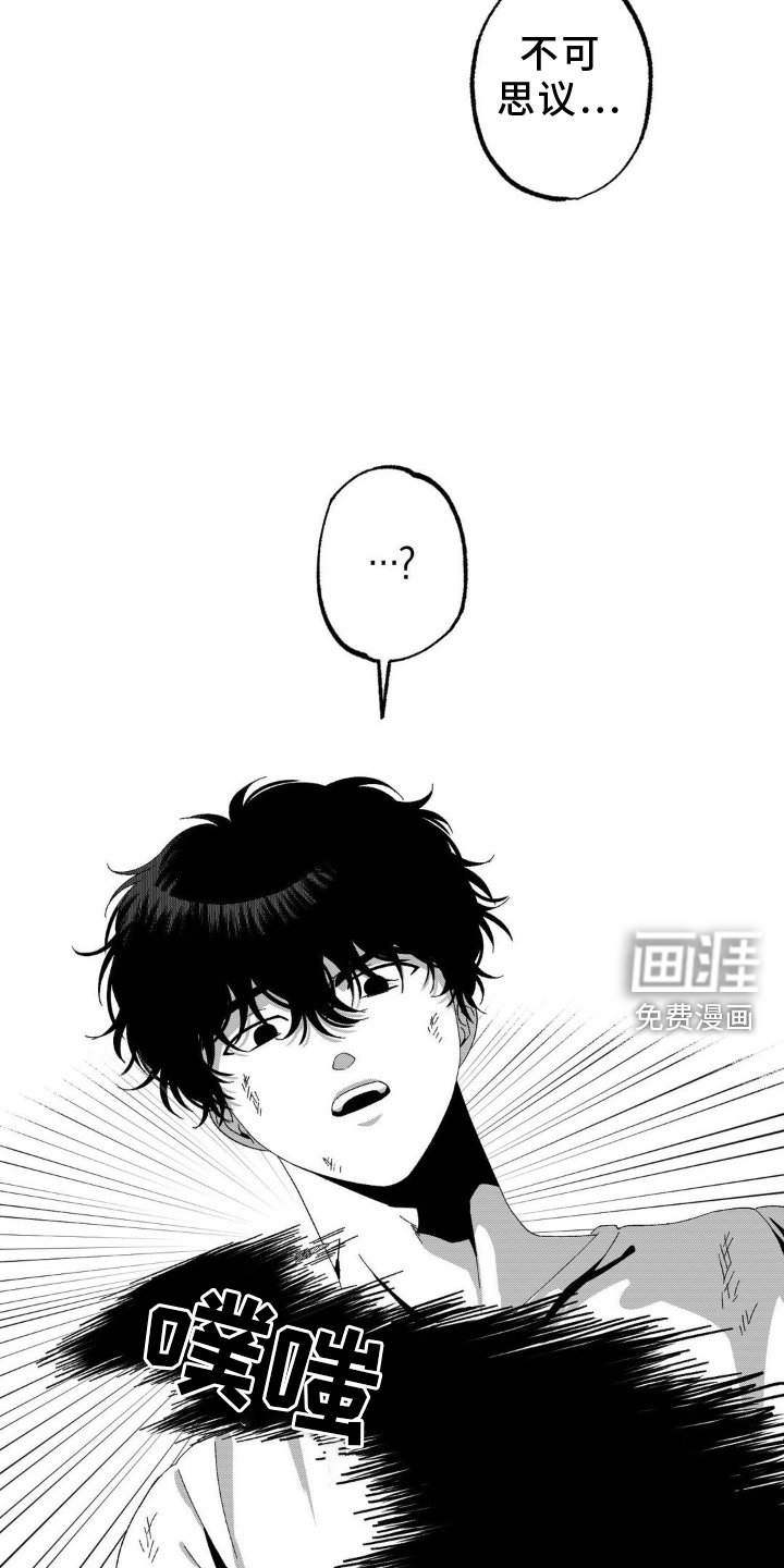 第19章：特殊