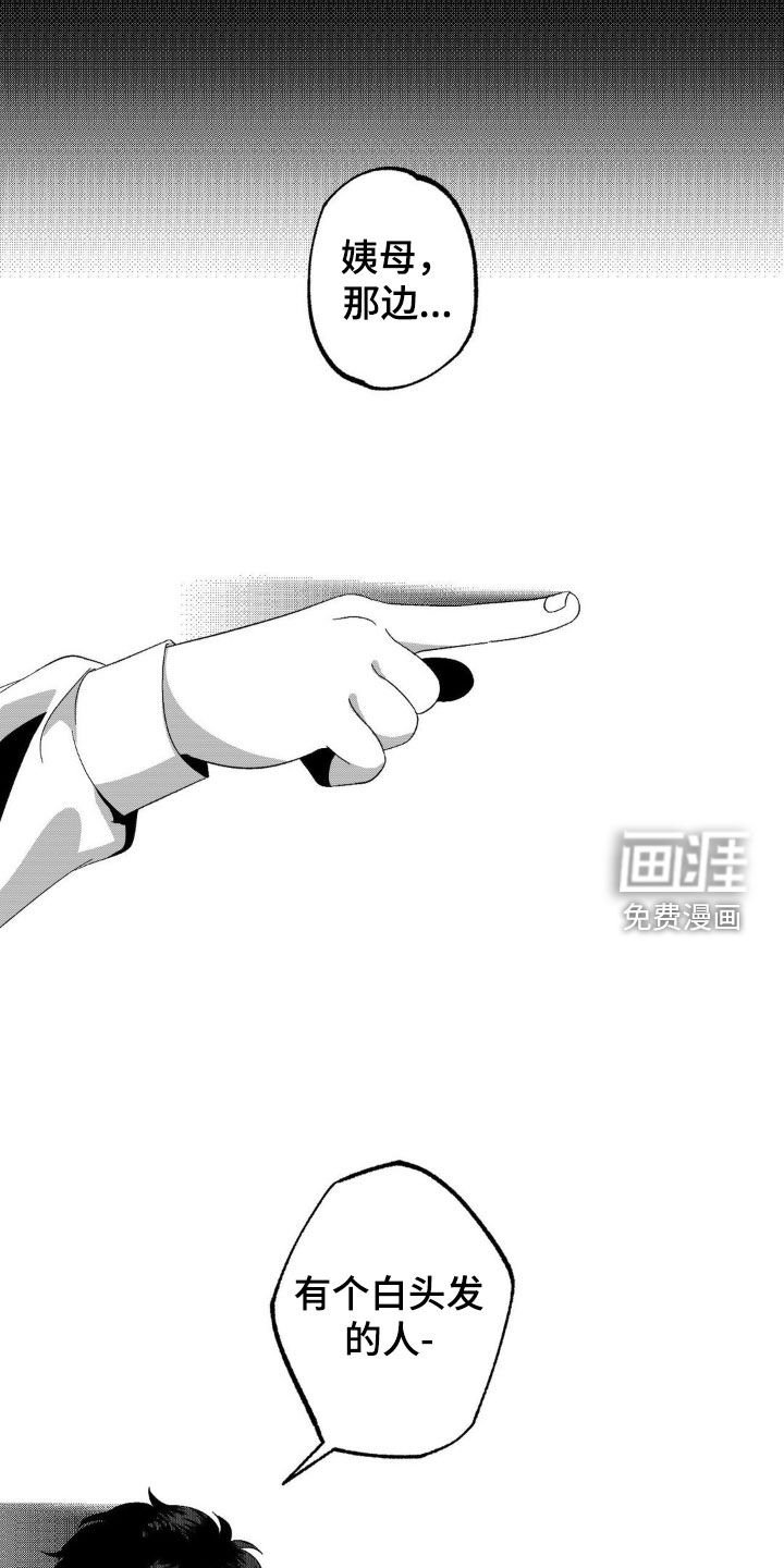 第22章：白头发