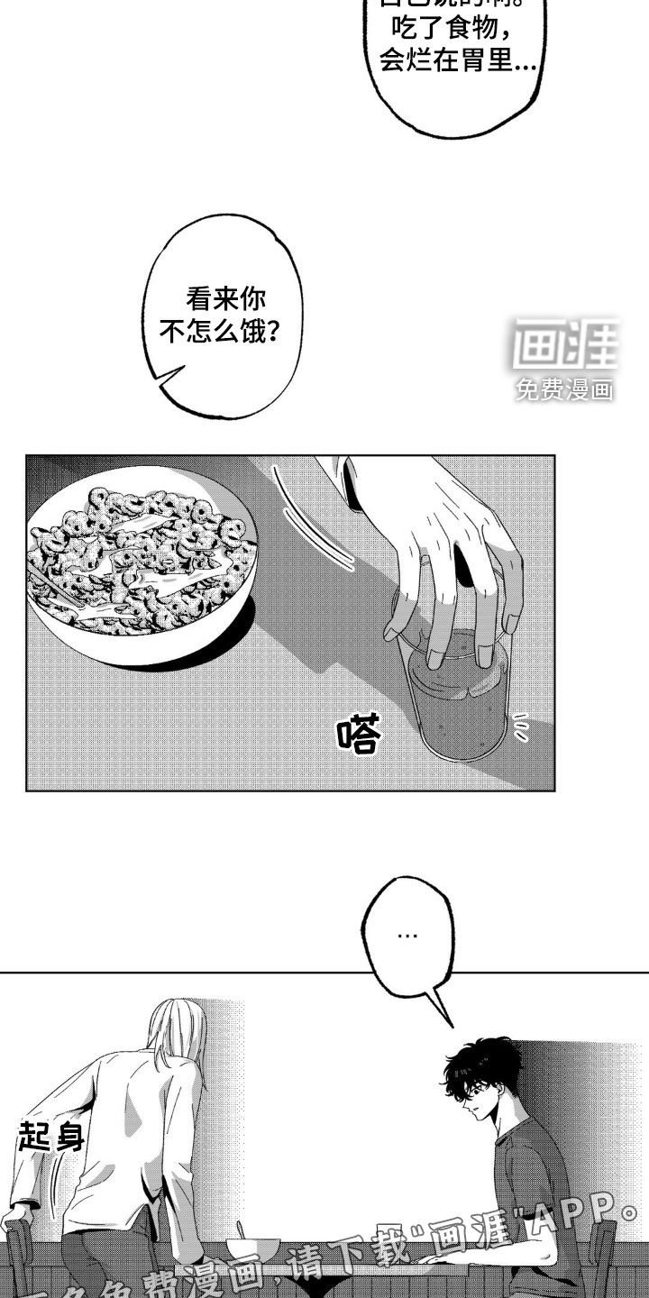 第28章：很平静