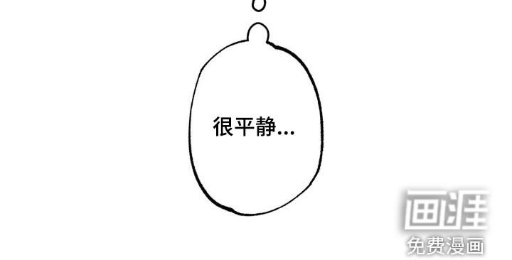 第28章：很平静