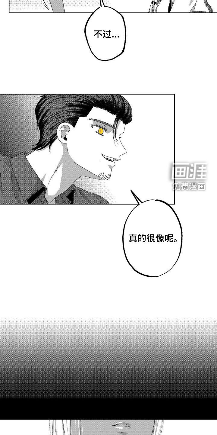 第31章：真的很像