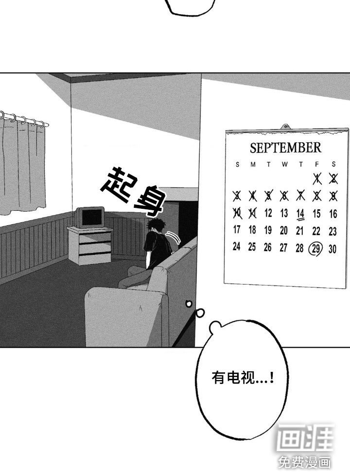第39章：问不出口