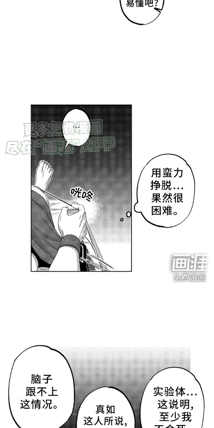第4章：麻醉