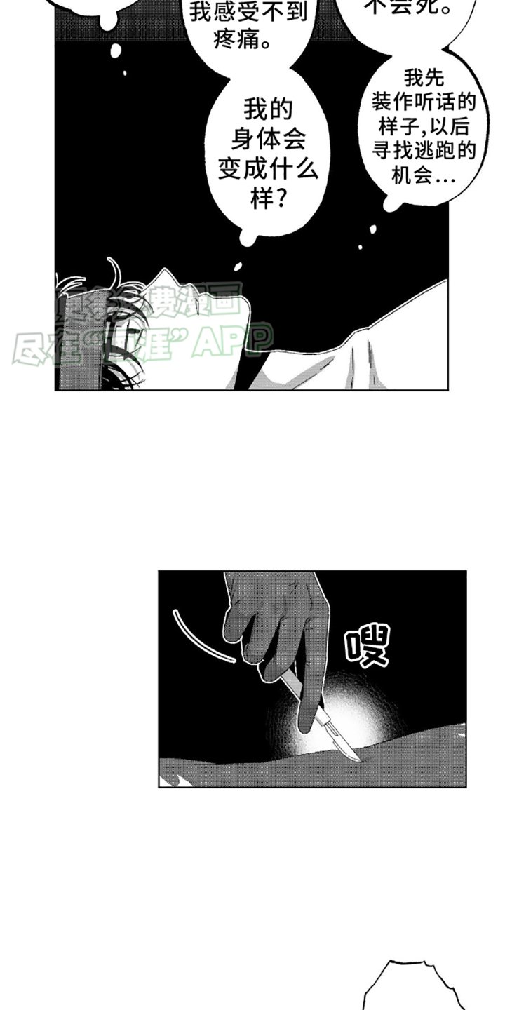 第4章：麻醉