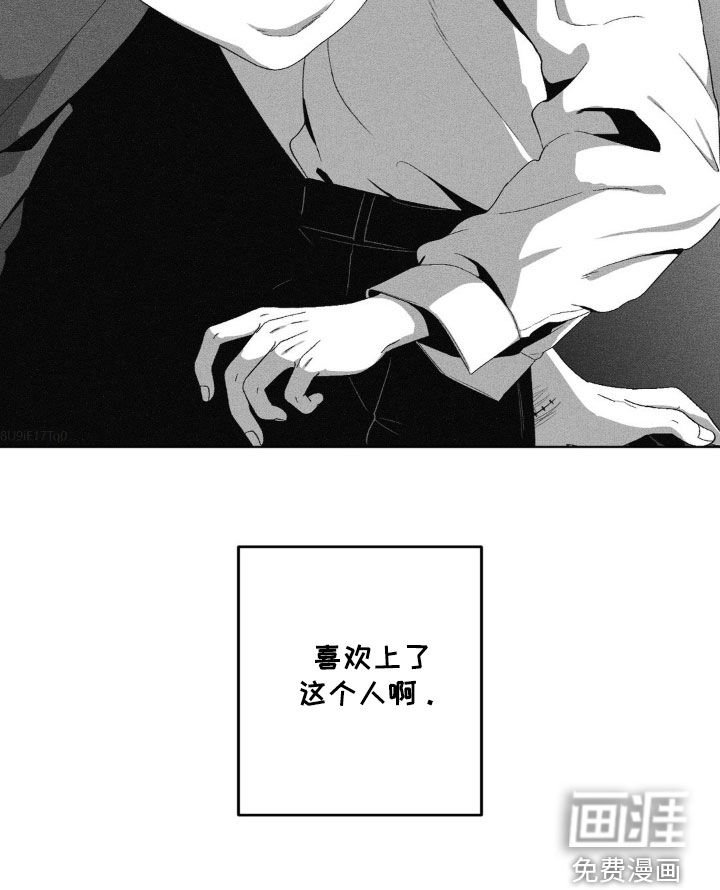 第41章：喜欢