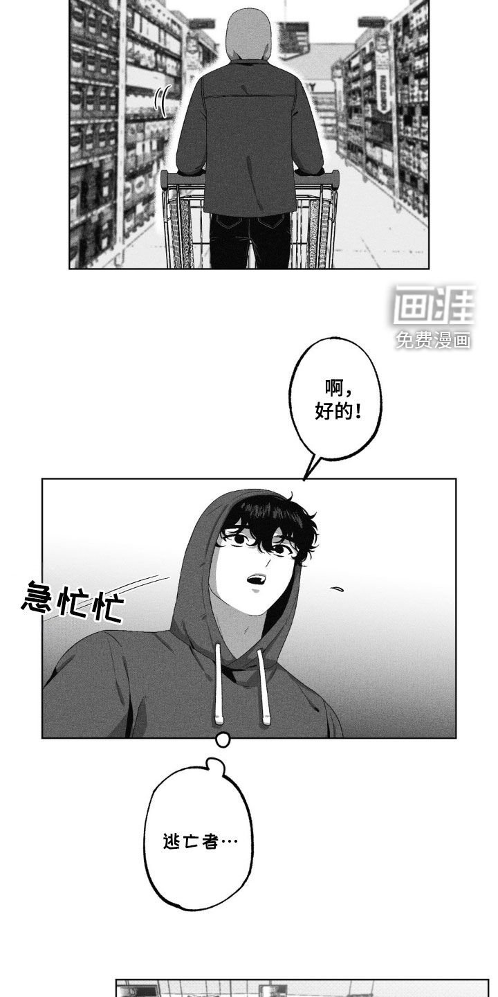 第48章：逃亡者