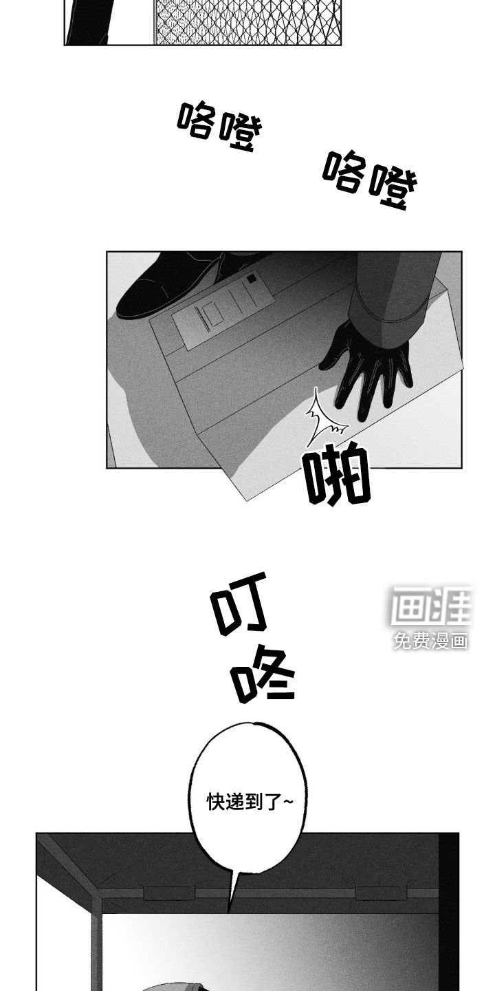 第49章：死讯
