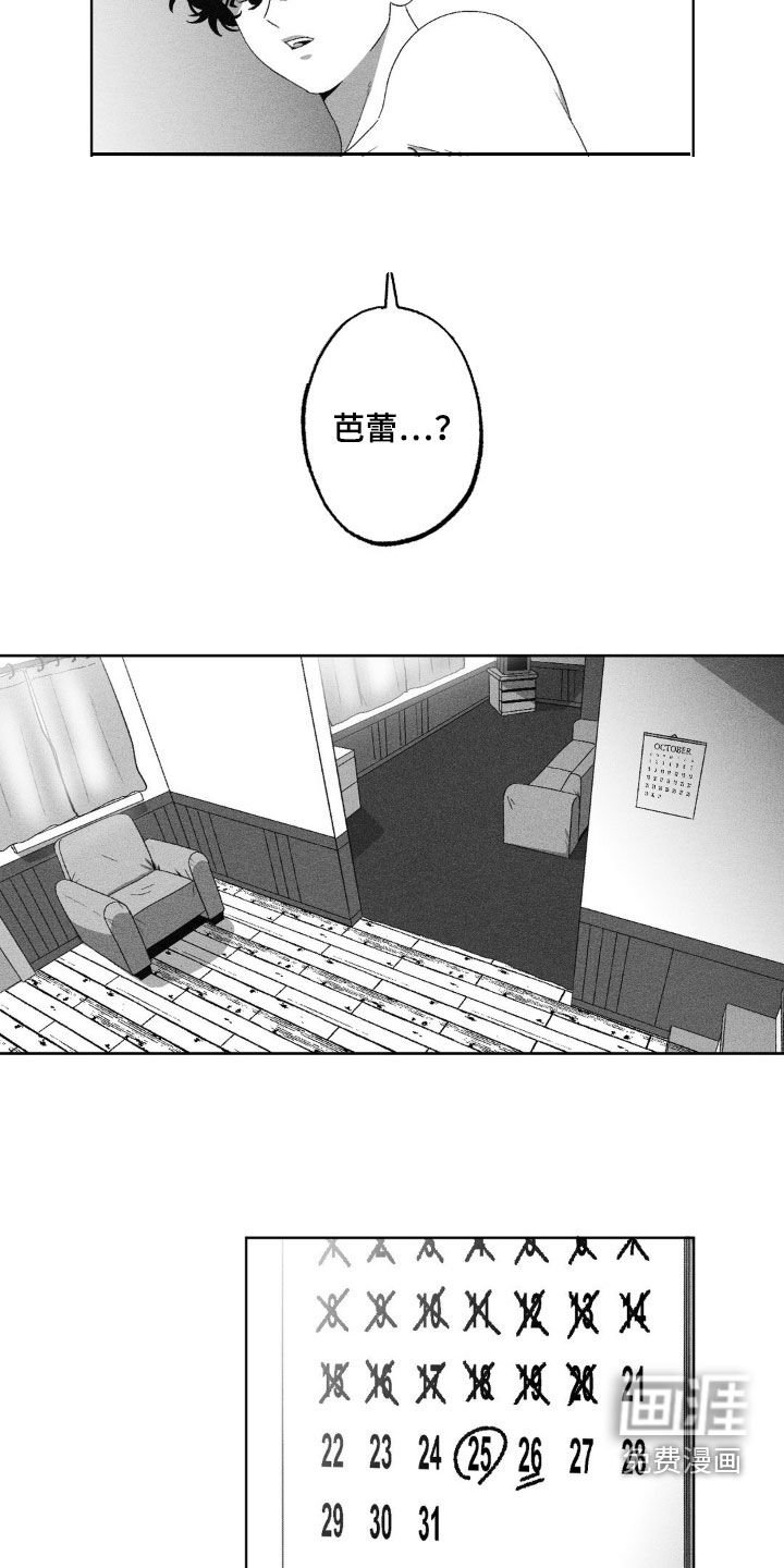 第52章：咱们去看芭蕾