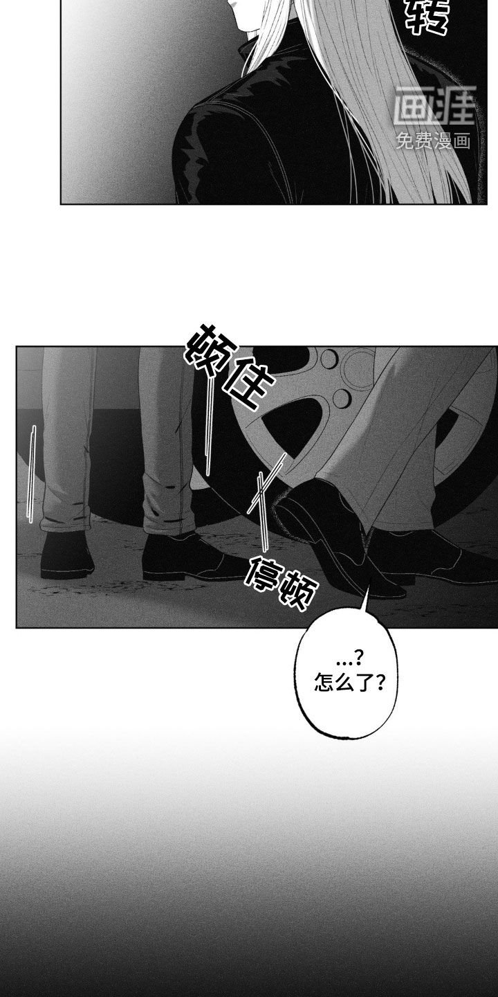 第66章：【第二季】杀手