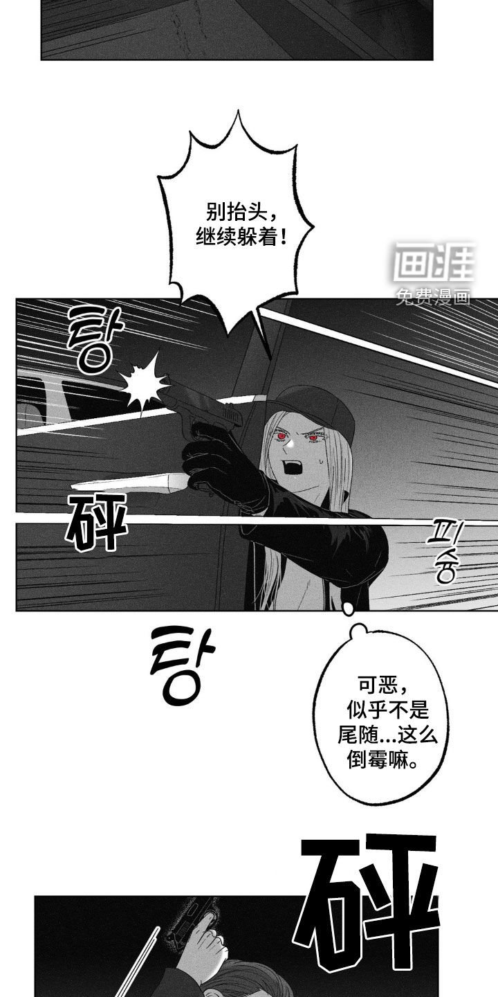 第66章：【第二季】杀手