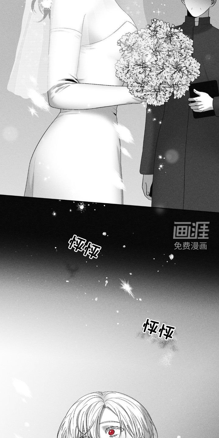 第80章：【第二季】已经结婚了