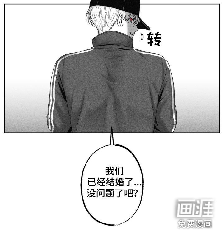 第80章：【第二季】已经结婚了