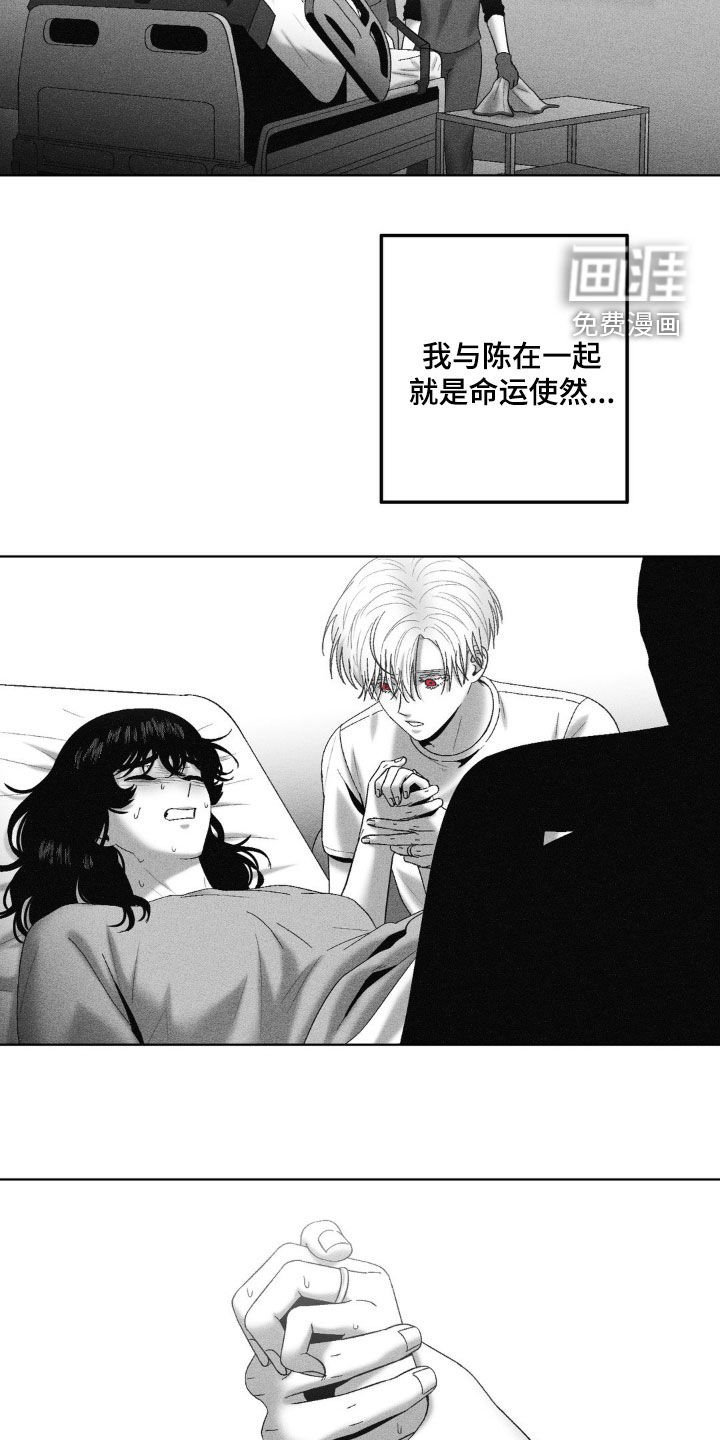 第82章：【第二季】相信命运