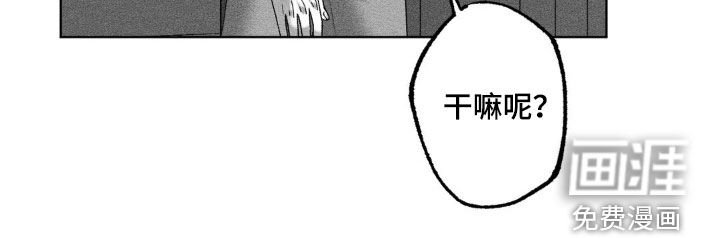 第82章：【第二季】相信命运