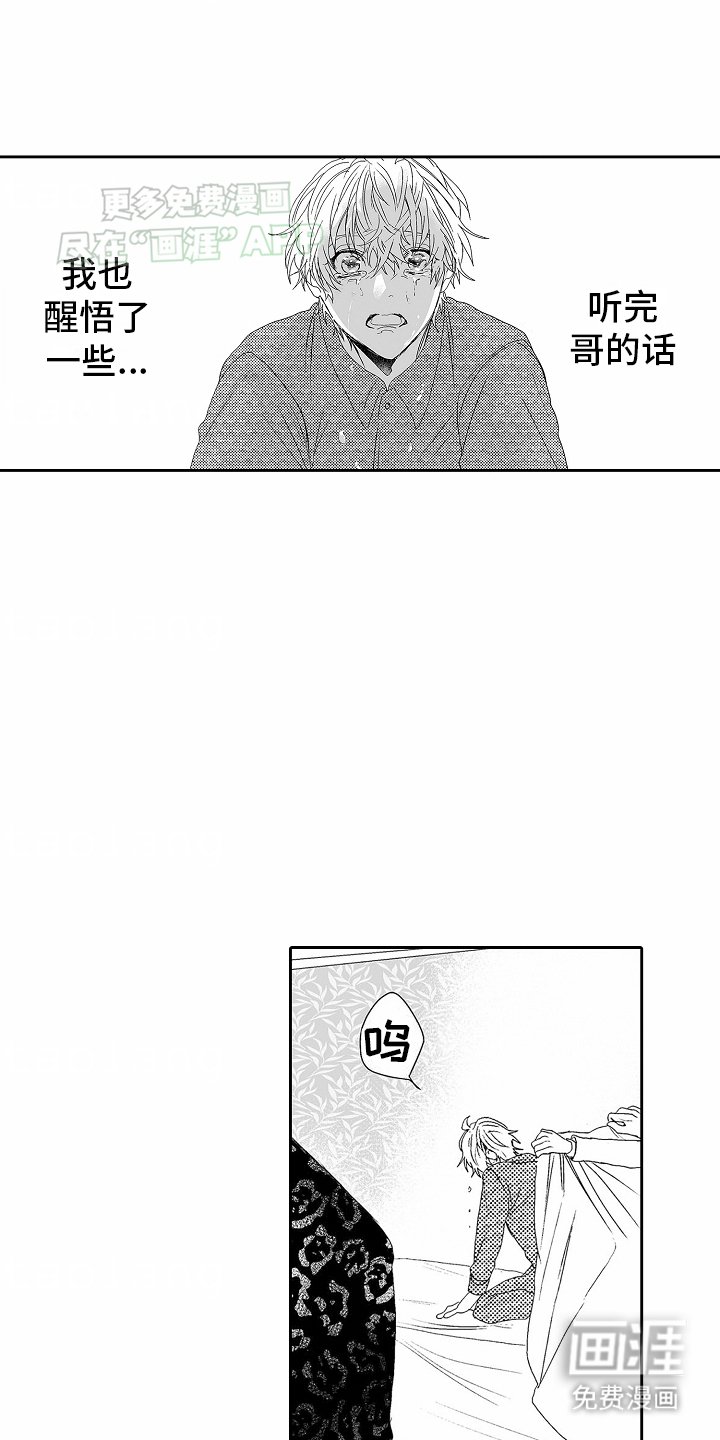 第14章：游说