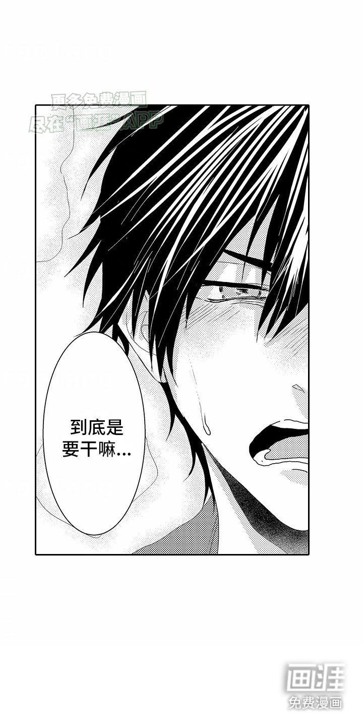 第5章：见面