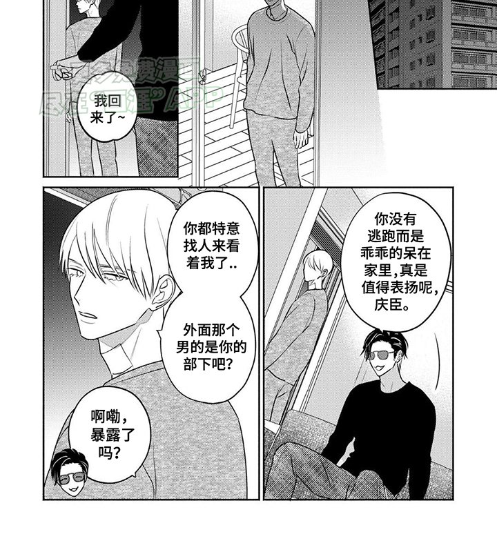 第17章：仅此而已