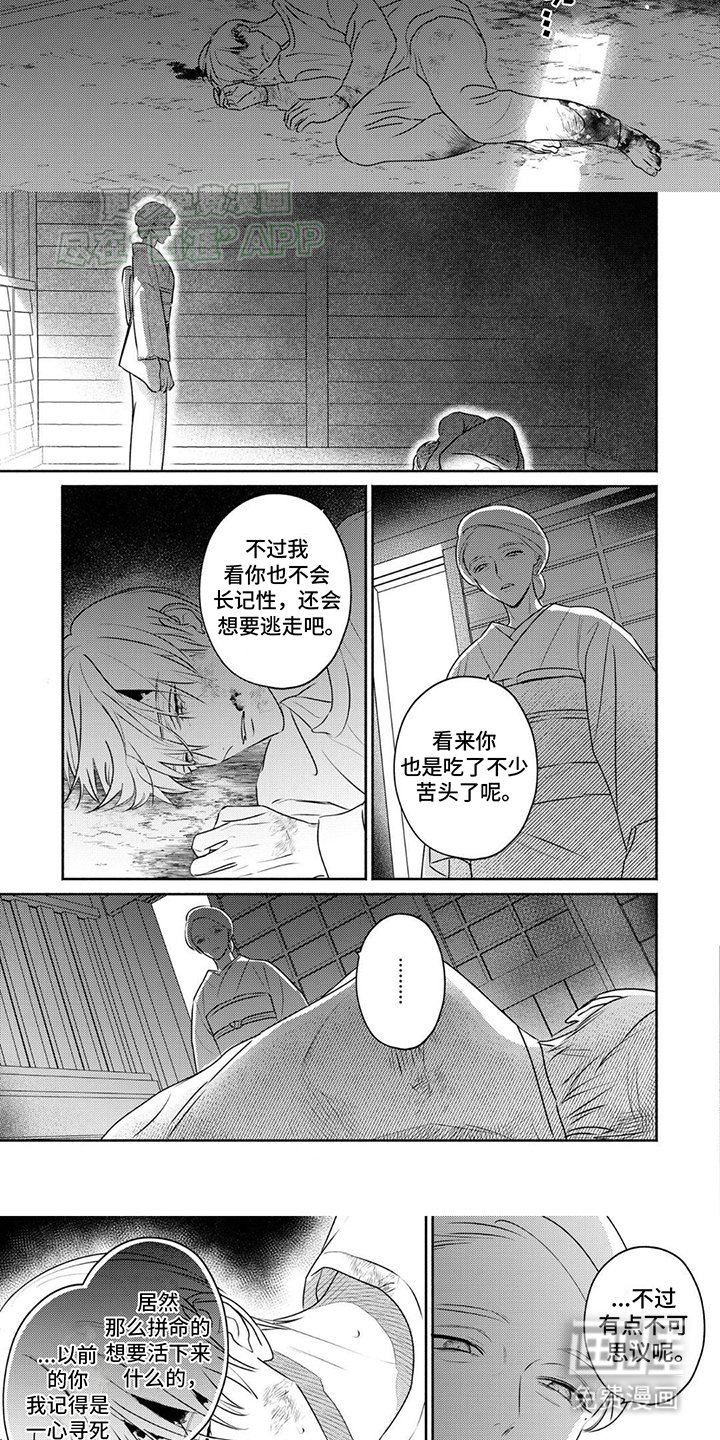 第29章：她的目的