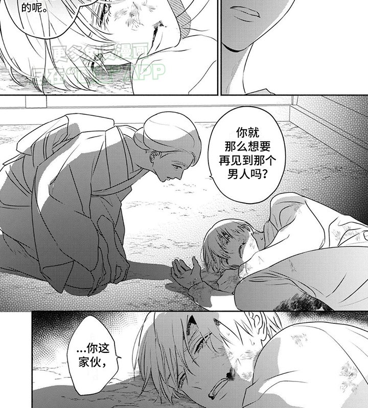 第29章：她的目的