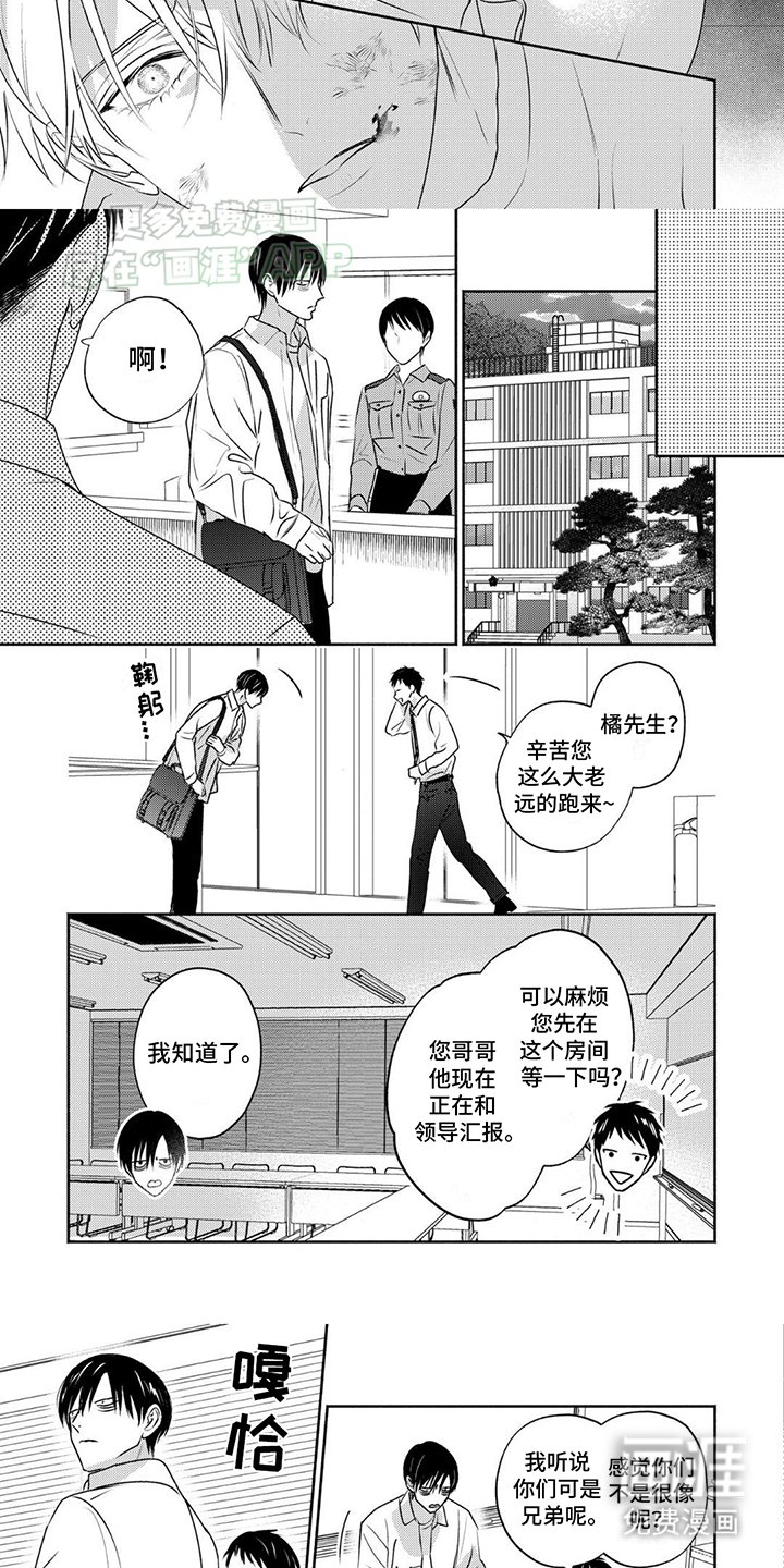 第29章：她的目的