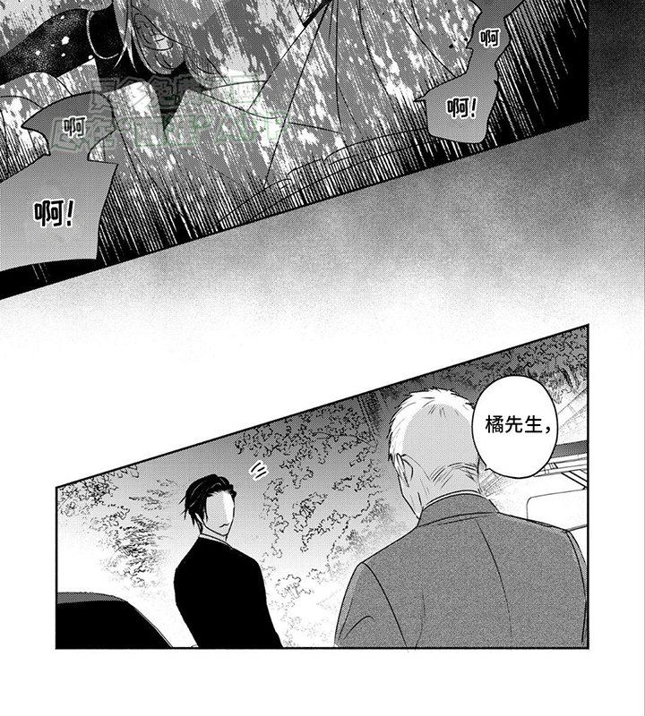 第34章：抓捕归案