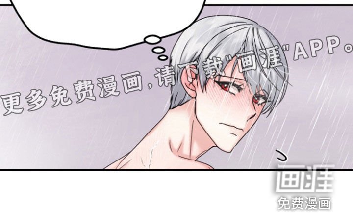第17章：难得的机会