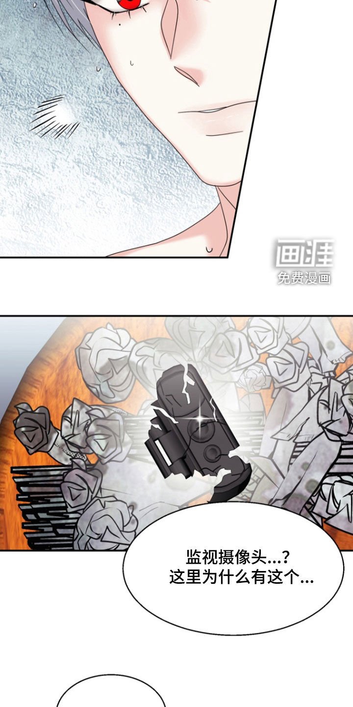 第17章：难得的机会