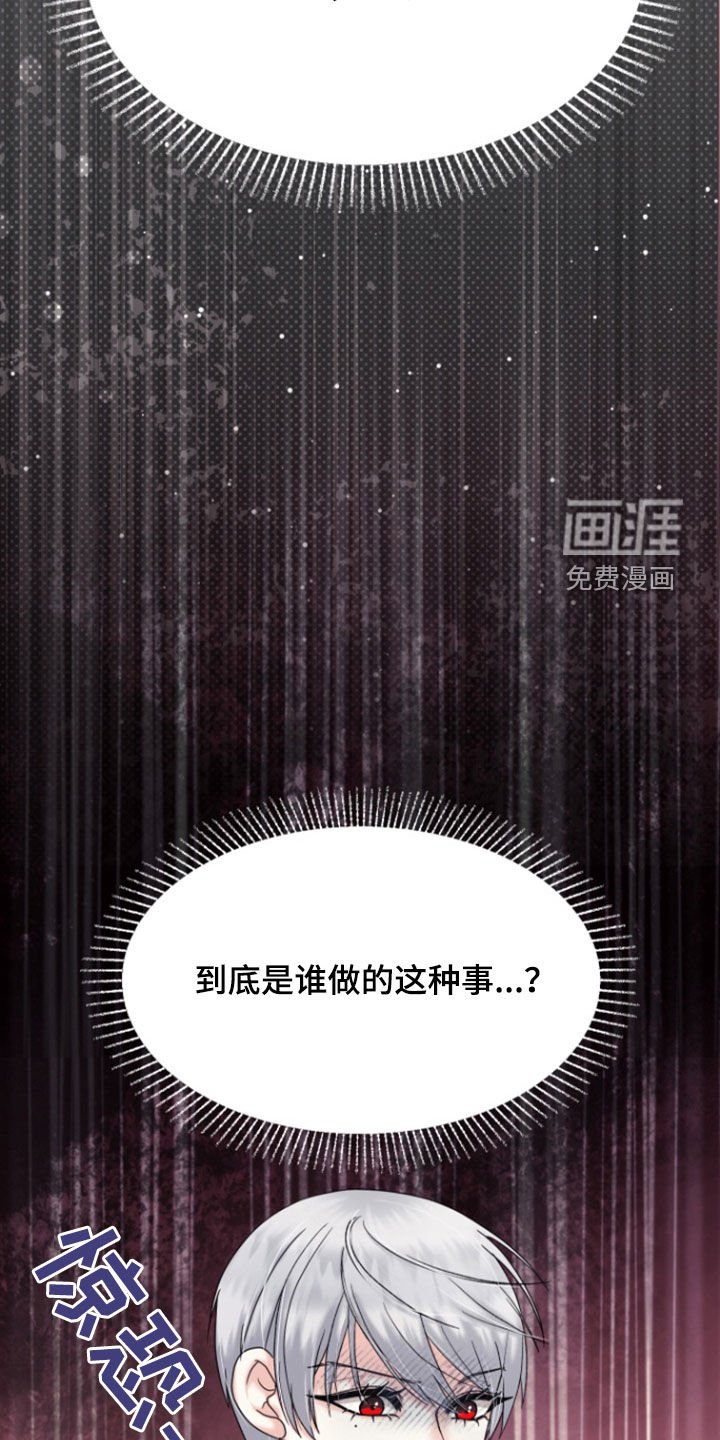 第17章：难得的机会