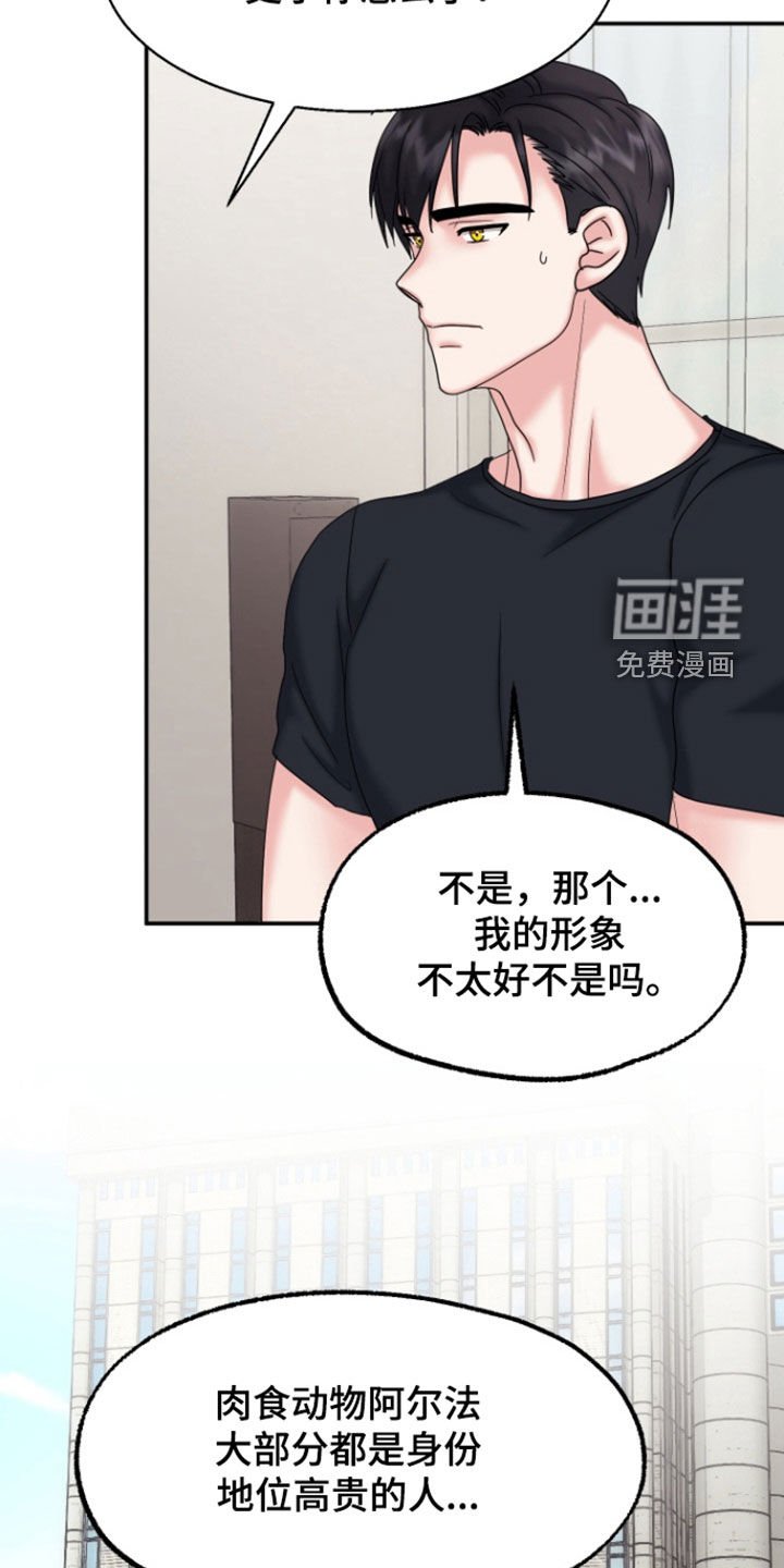 第22章：棋子