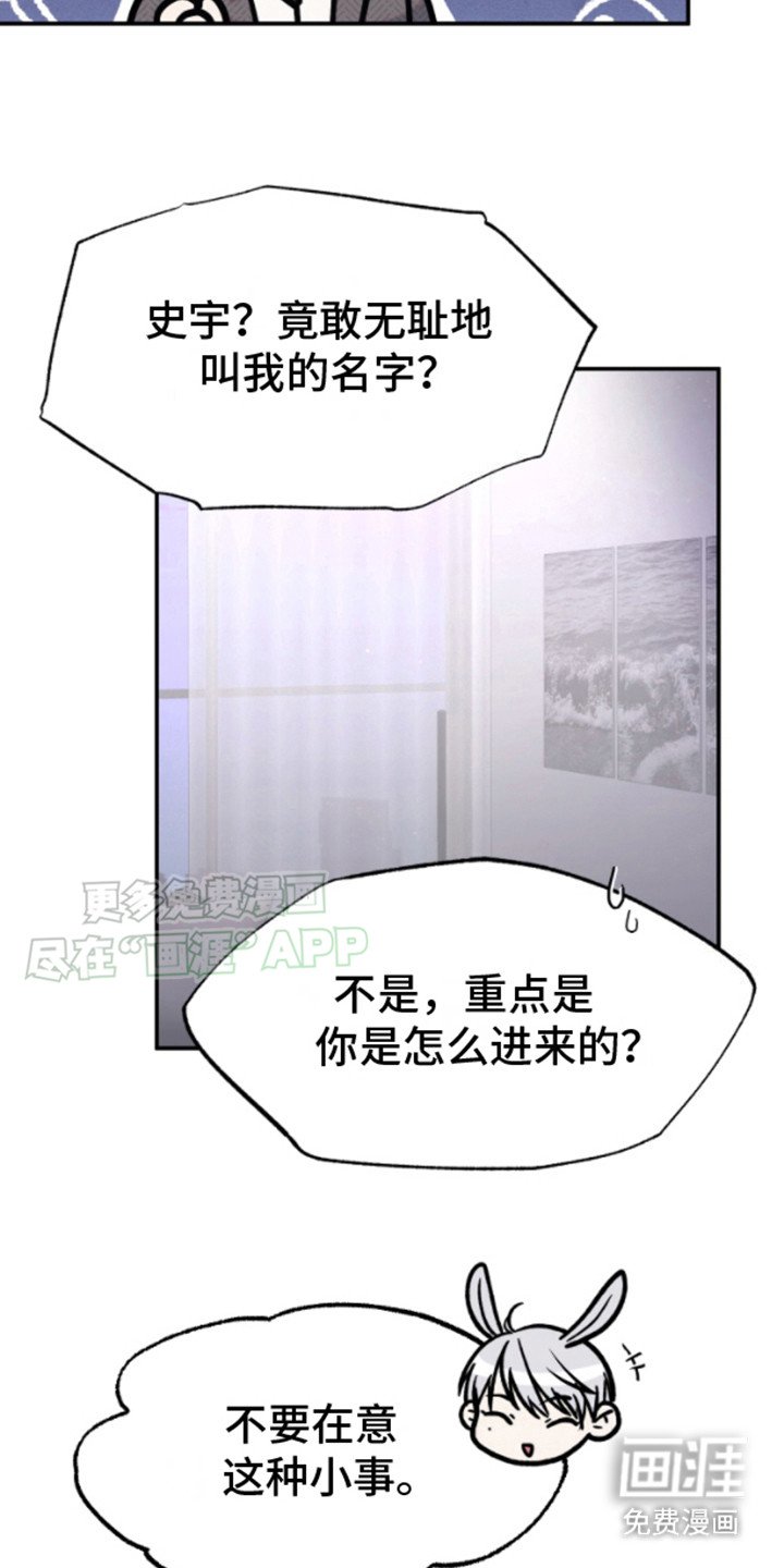 第3章：兔子欧米伽