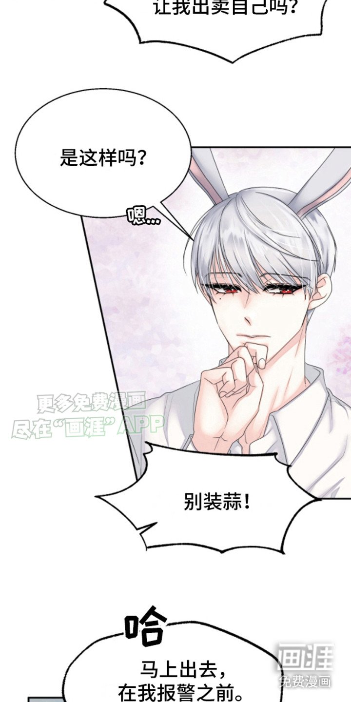第3章：兔子欧米伽