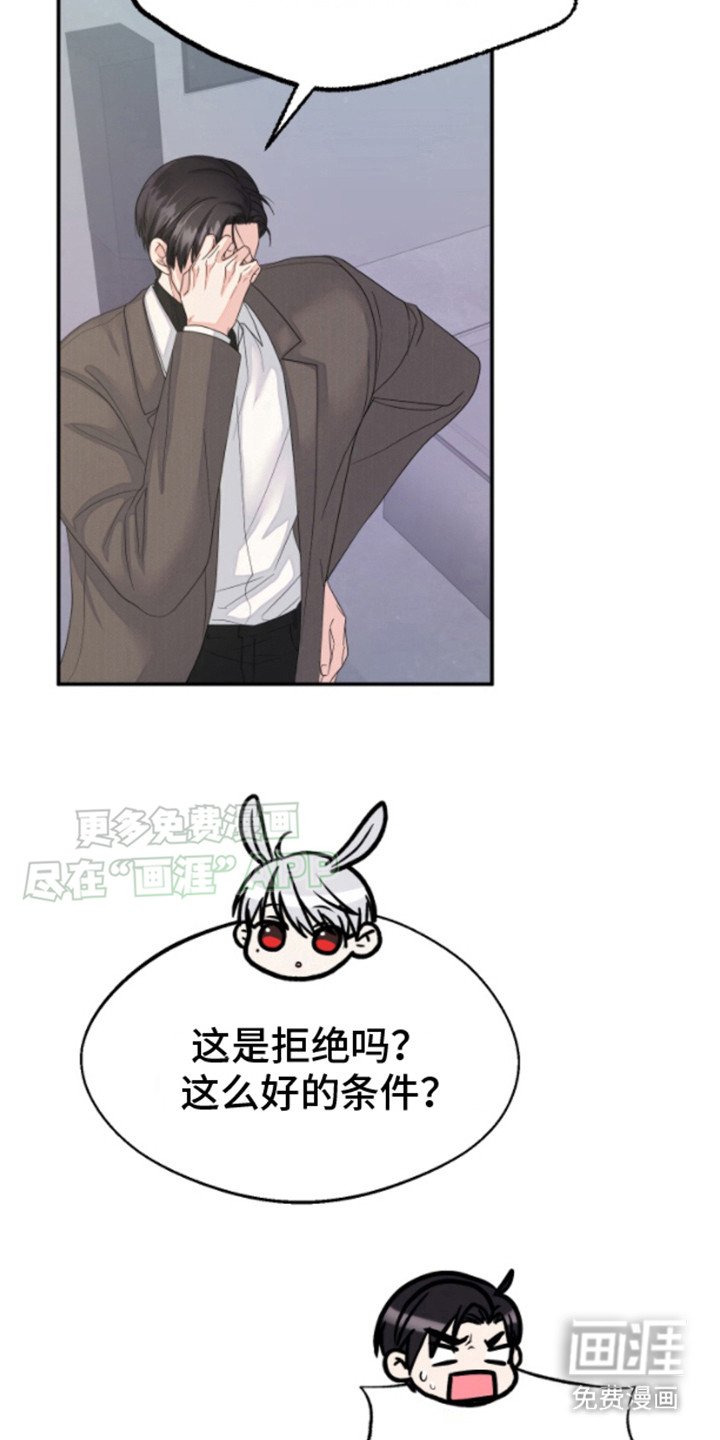 第3章：兔子欧米伽