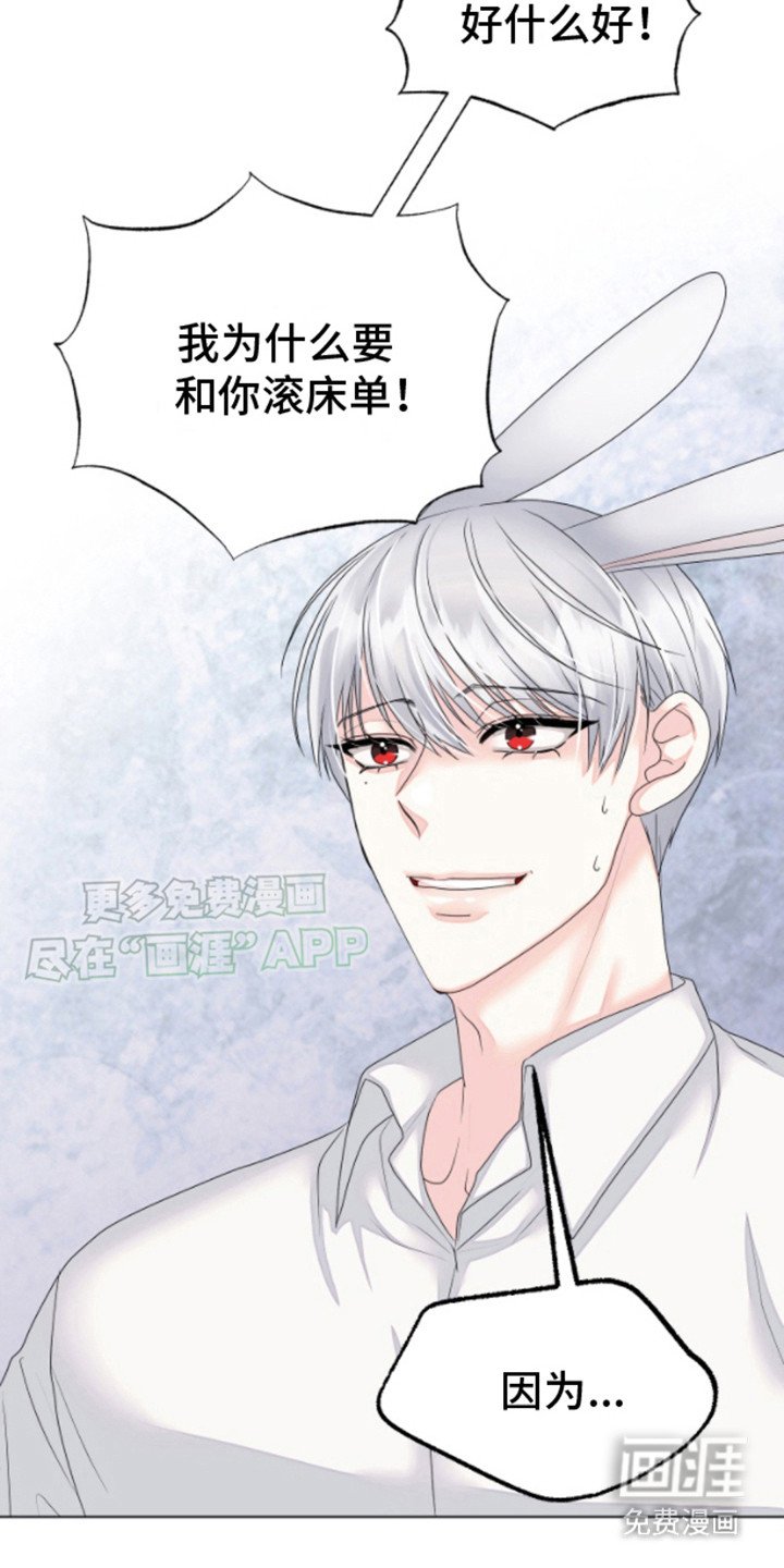 第3章：兔子欧米伽