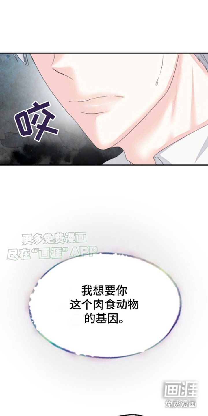 第3章：兔子欧米伽