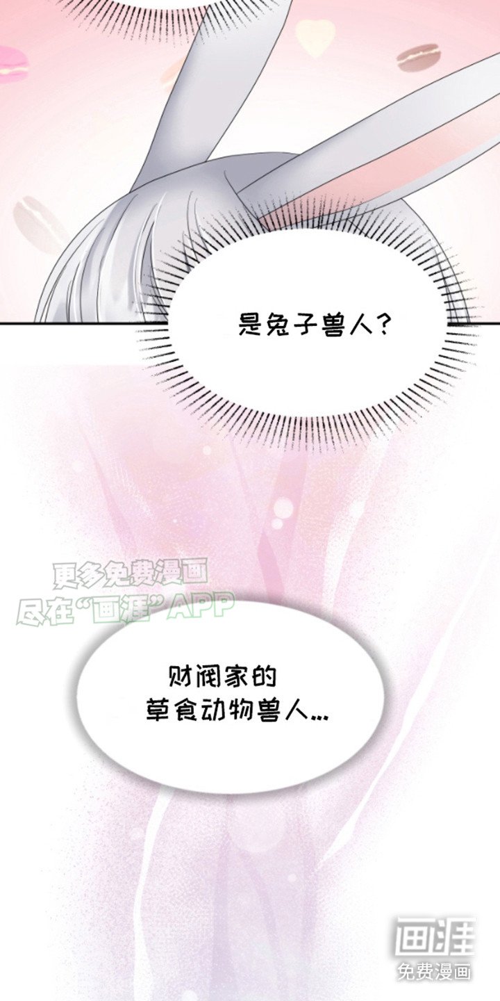第3章：兔子欧米伽