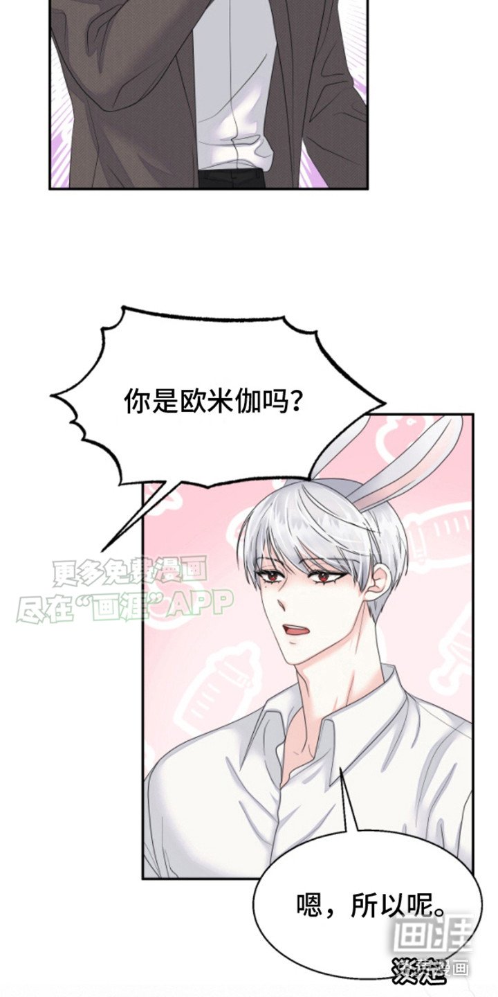 第3章：兔子欧米伽