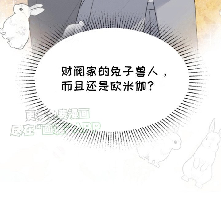 第3章：兔子欧米伽