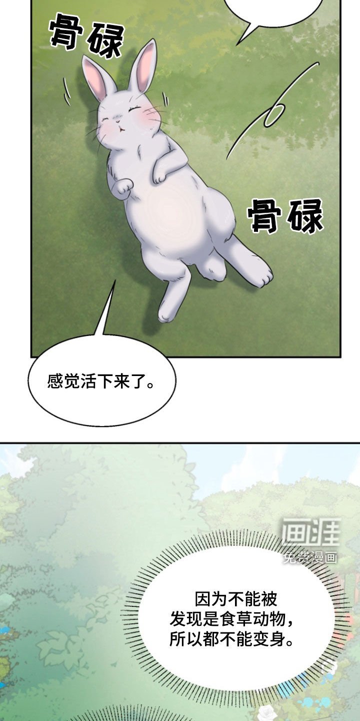 第36章：1年前