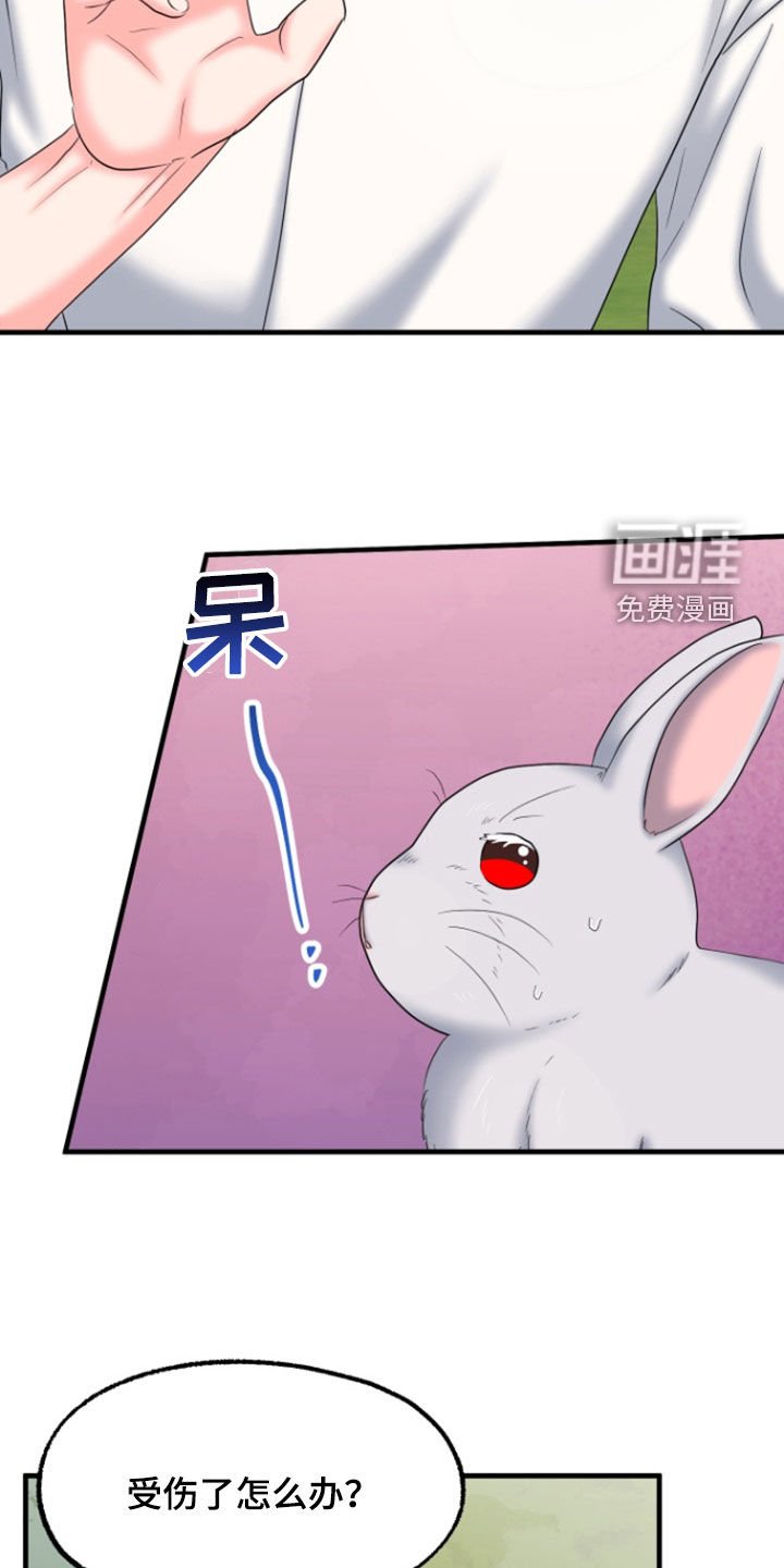 第36章：1年前
