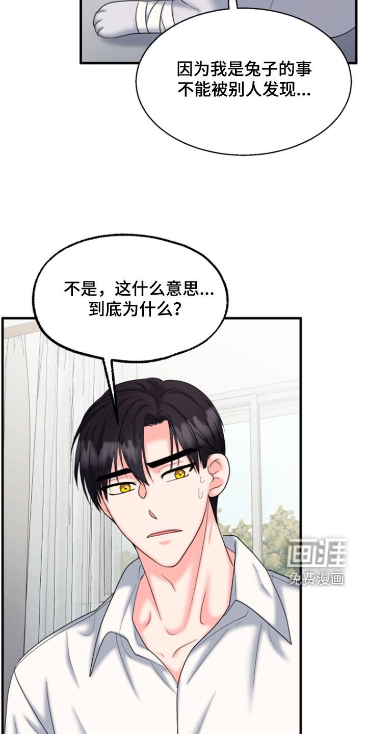 第36章：1年前