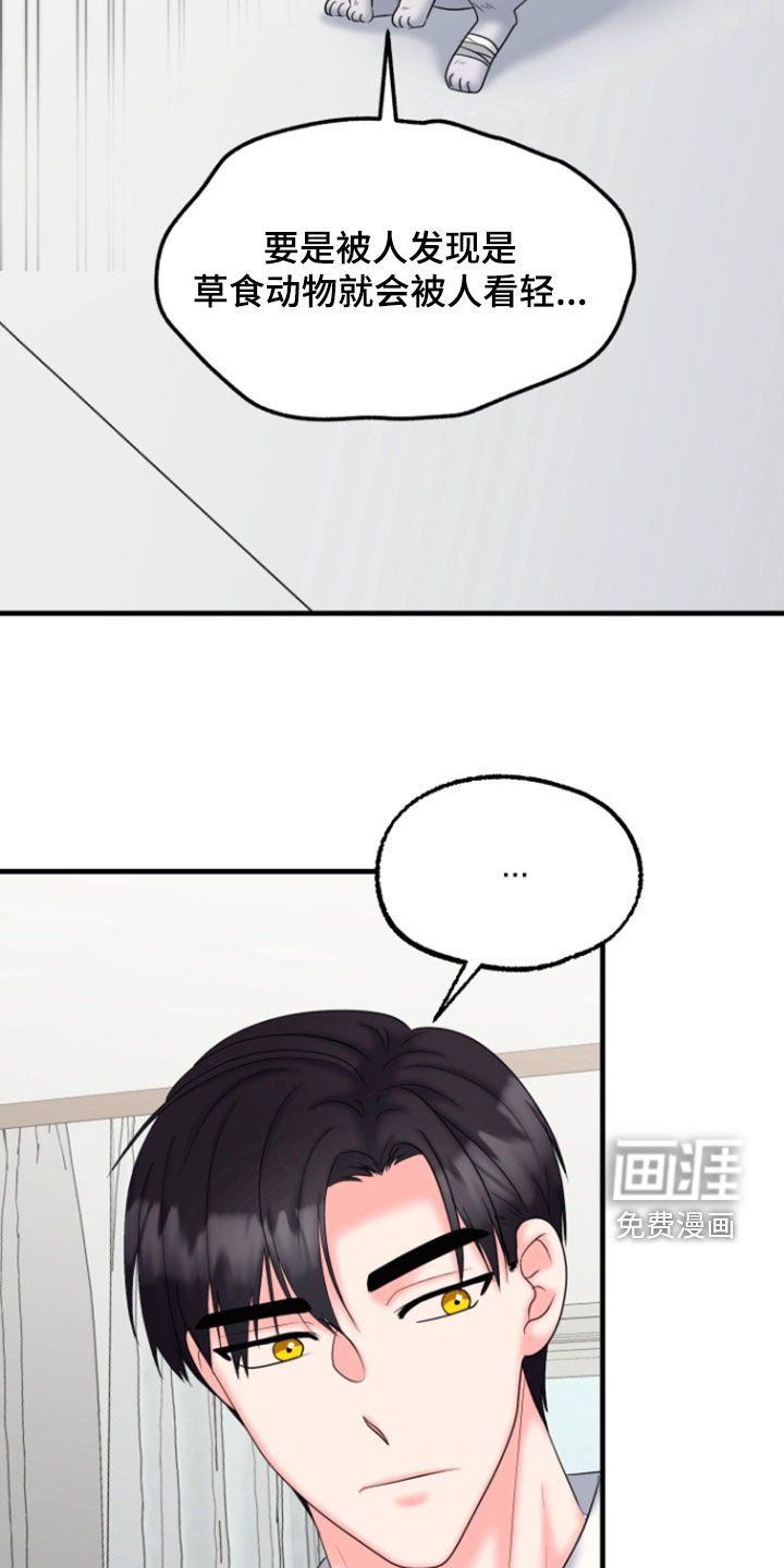 第36章：1年前