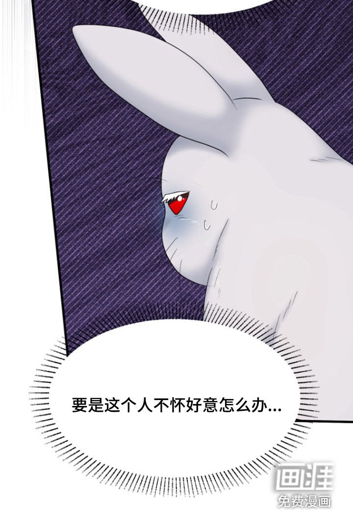 第36章：1年前