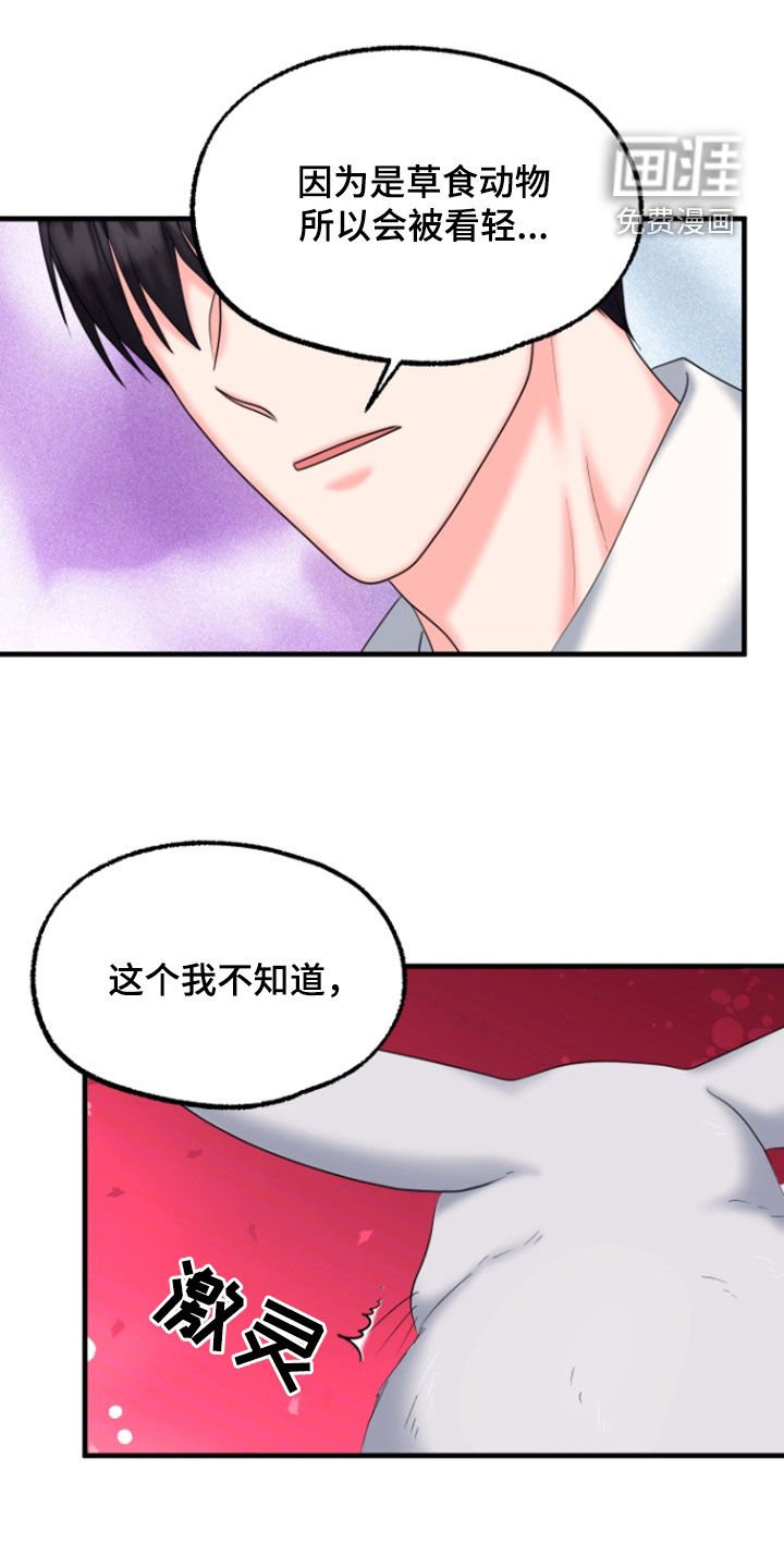 第37章：第二次见面
